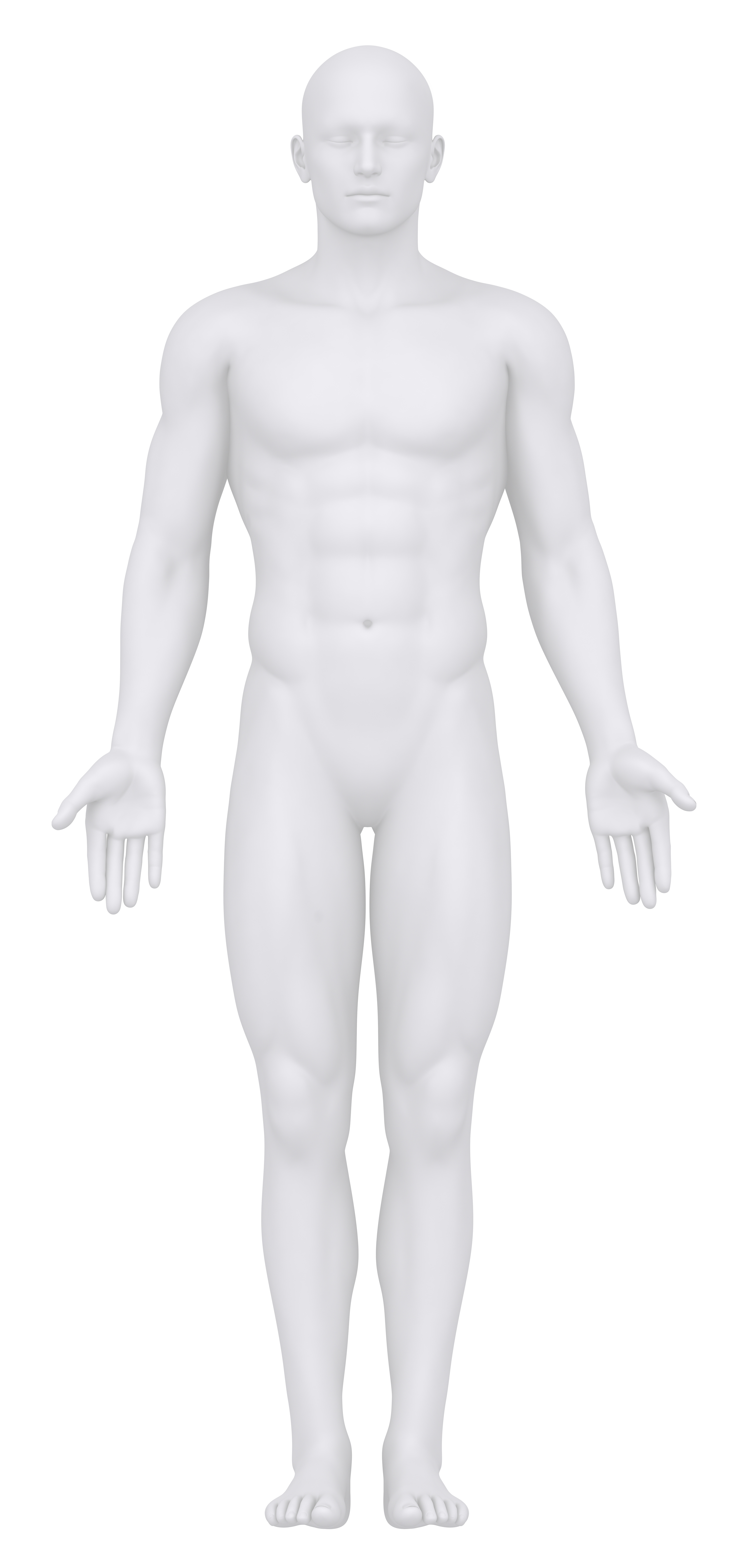 Anatomical position