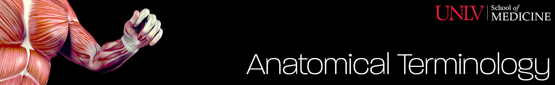 UNLV School of Medicine EMT Anatomy Lab